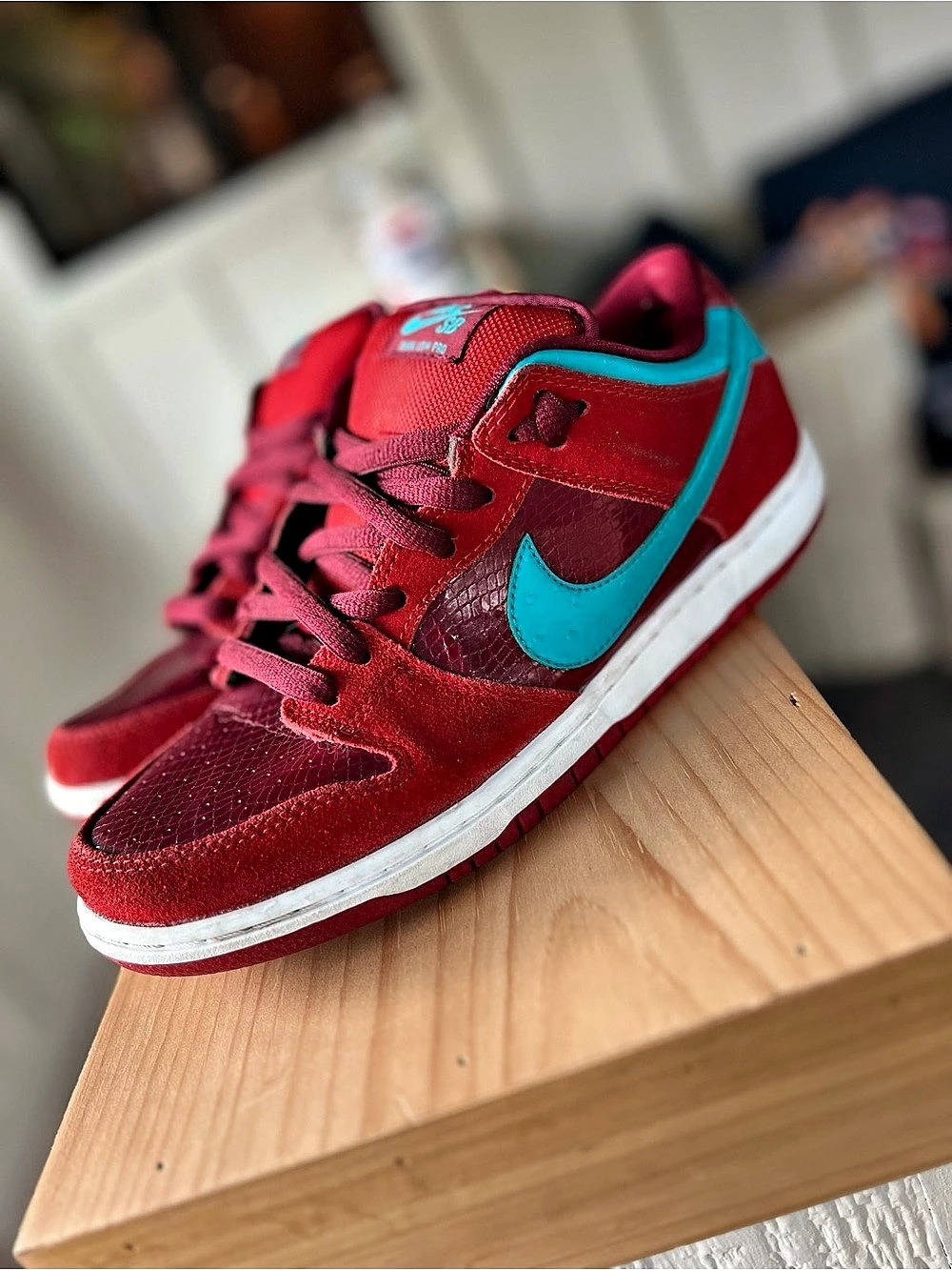 Nike Dunk Low Pro SB Low Sneakers Red & Blue US 8.5